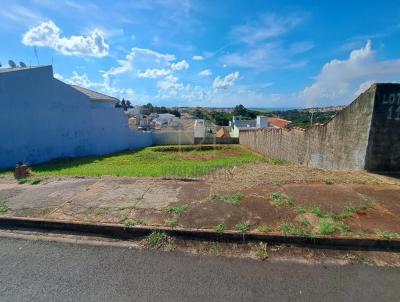 Terreno para Venda, em Botucatu, bairro Chcara dos Pinheiros