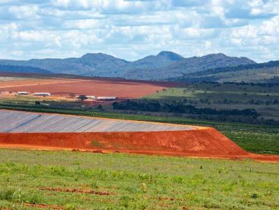 Fazenda para Venda, em Belo Horizonte, bairro Centro