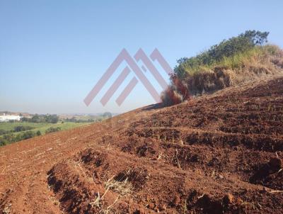 Fazenda para Venda, em Capivari, bairro Centro