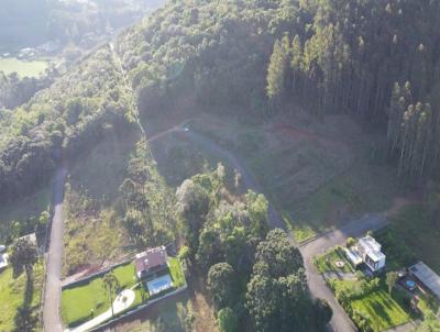 Terreno para Venda, em Erechim, bairro ERS - 420