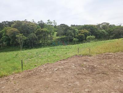 Chcara para Venda, em Caxias do Sul, bairro Vila Oliva