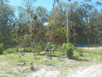 Chcara para Venda, em Pontal do Paran, bairro Guaraguau