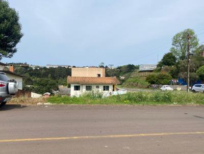 imagem-miniatura