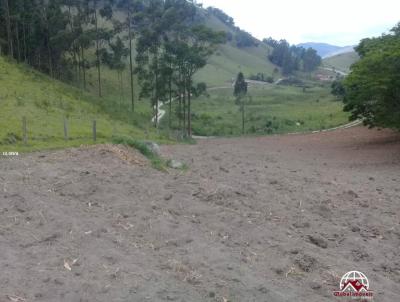 Terreno para Venda, em Natividade da Serra, bairro Pouso Alto