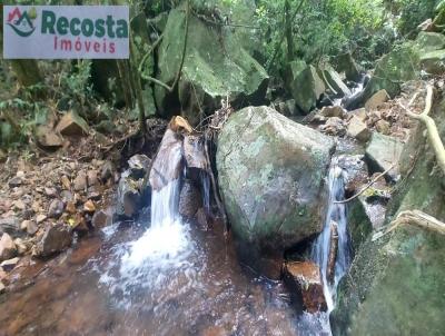 Chcara para Venda, em So Francisco de Paula, bairro BOA VISTA