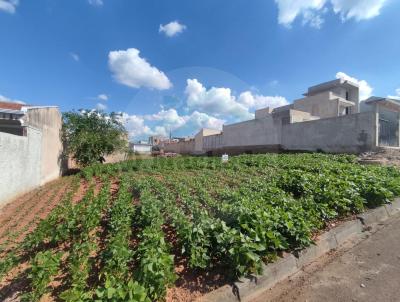 Terreno para Venda, em Fazenda Rio Grande, bairro Eucaliptos