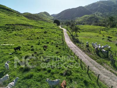 Fazenda para Venda, em Rio Bonito, bairro 