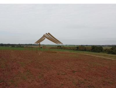 Stio para Venda, em Avar, bairro rea Rural de Avar