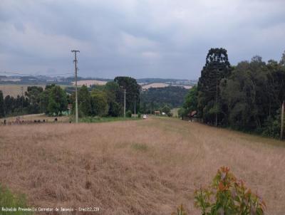 rea Rural para Venda, em Lapa, bairro Capo Bonito