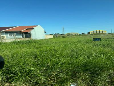 Terreno para Venda, em Osrio, bairro Farroupilha