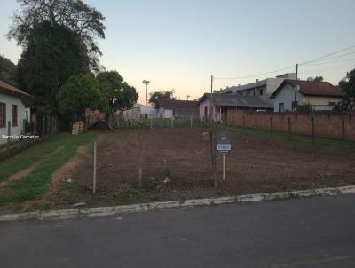 Terreno para Venda, em Rio Negrinho, bairro Vila Nova