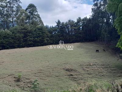 Terreno para Venda, em Camanducaia, bairro Camanducaia