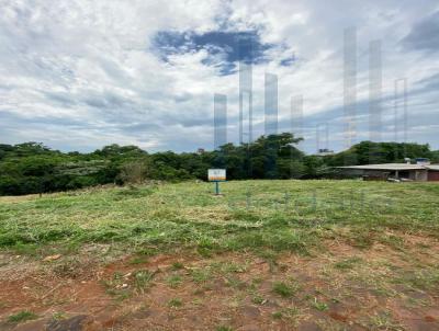 Terreno para Venda, em Frederico Westphalen, bairro Distrito Industrial