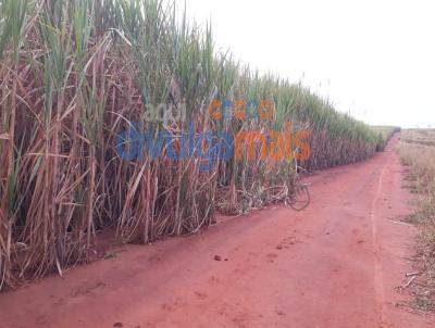 Fazenda para Venda, em Ituiutaba, bairro Zona rural