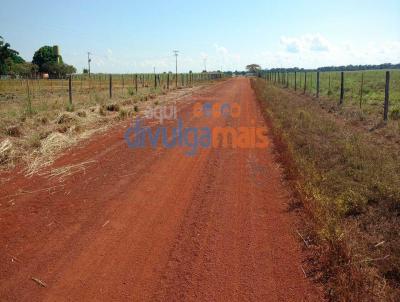 Fazenda para Venda, em Palmas, bairro Zona rural