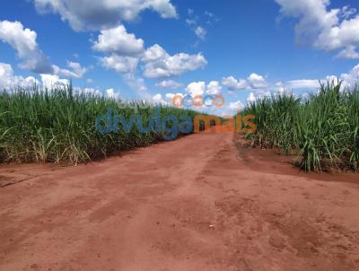 Fazenda para Venda, em Quirinpolis, bairro Zona rural