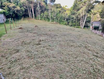 Terreno para Venda, em Campos do Jordo, bairro Vila Siomara