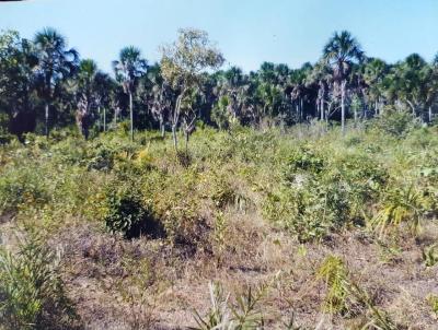 Fazenda para Venda, em Lizarda, bairro Rural, 1 dormitrio, 1 banheiro