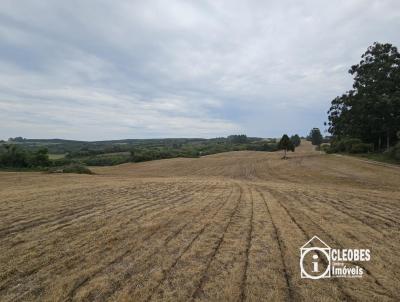 Stio / Chcara para Venda, em Encruzilhada do Sul, bairro Interior