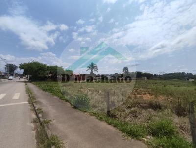 Terreno para Venda, em Fazenda Rio Grande, bairro Veneza