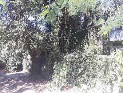 Terreno para Venda, em Niteri, bairro Itaipu