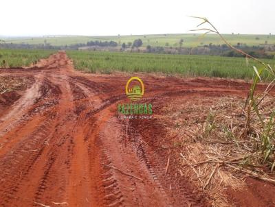 Fazenda para Venda, em Ituiutaba, bairro Zona Rural