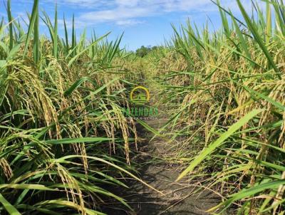 Fazenda para Venda, em Palmas, bairro Zona Rural