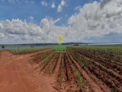 Fazenda para Venda, em Gouvelndia, bairro Zona Rural