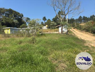 Terreno Rural para Venda, em Ibina, bairro Verava