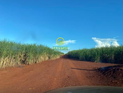 Fazenda para Venda, em Quirinpolis, bairro Zona Rural