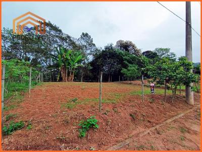 Lote para Venda, em Lima Duarte, bairro Piuna