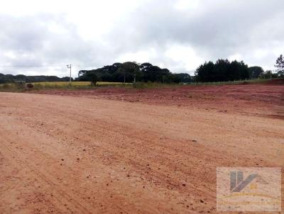 Terreno para Venda, em So Jos dos Pinhais, bairro Campo Largo da Roseira