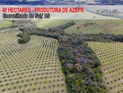 Fazenda para Venda, em Encruzilhada do Sul, bairro Interior