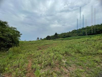 Chcara para Venda, em Frederico Westphalen, bairro Linha Dal Canton