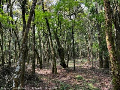 rea para Venda, em Lapa, bairro MARAFIGO (ZONA RURAL)