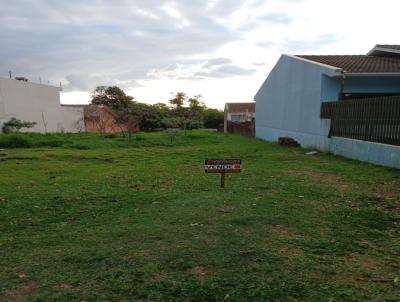 Terreno para Venda, em Cascavel, bairro Recanto Tropical