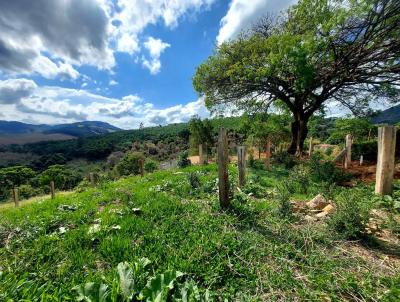 Terreno para Venda, em Toledo, bairro Moinho