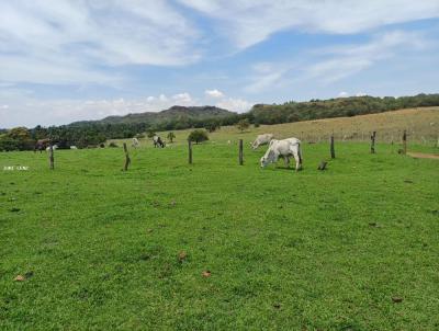 Fazenda para Venda, em Itiquira, bairro FAZENDA