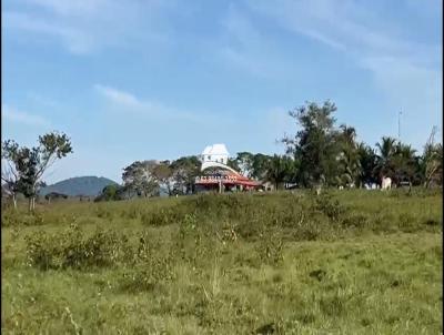 Fazenda para Venda, em Santana do Araguaia, bairro Regio muito produtiva