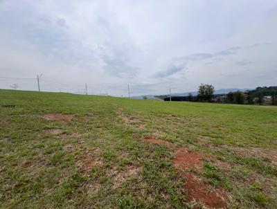 Terreno para Venda, em Caapava, bairro Santa Mnica