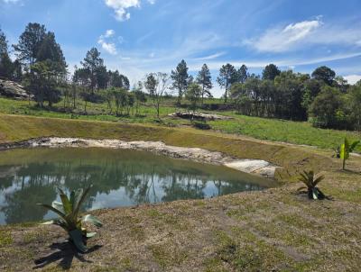 Chcara para Venda, em Balsa Nova, bairro So Luz do Purun