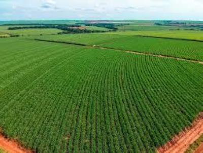 Fazenda para Venda, em Bernardino de Campos, bairro Rural