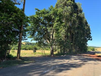 Stio / Chcara para Venda, em Santa Rosa, bairro Bonito