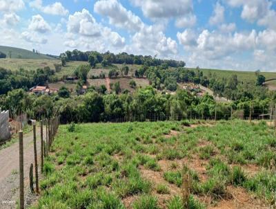 Chcara para Venda, em , bairro BAIRRO PAPAGAIO