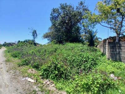 Terreno para Venda, em Itanham, bairro Palmeiras