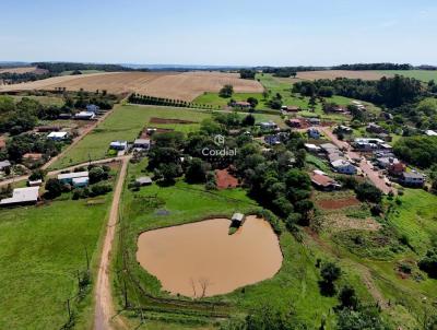 Chcara para Venda, em Cndido Godi, bairro , 2 dormitrios, 1 banheiro