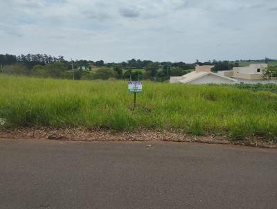 Terreno para Venda, em Astorga, bairro Timb