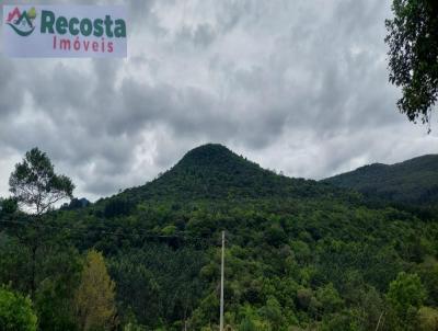 Chcara para Venda, em So Francisco de Paula, bairro BOA VISTA