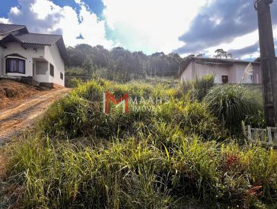 Terreno para Venda, em So Bento do Sul, bairro Alpino