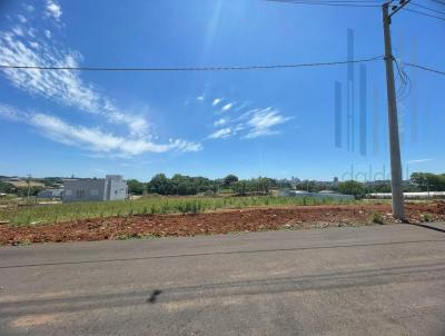 Terreno para Venda, em Frederico Westphalen, bairro Panosso